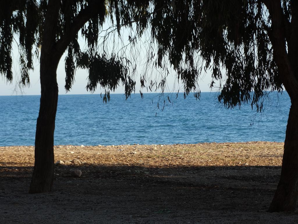 Camping El Torres Villajoyosa Exteriör bild